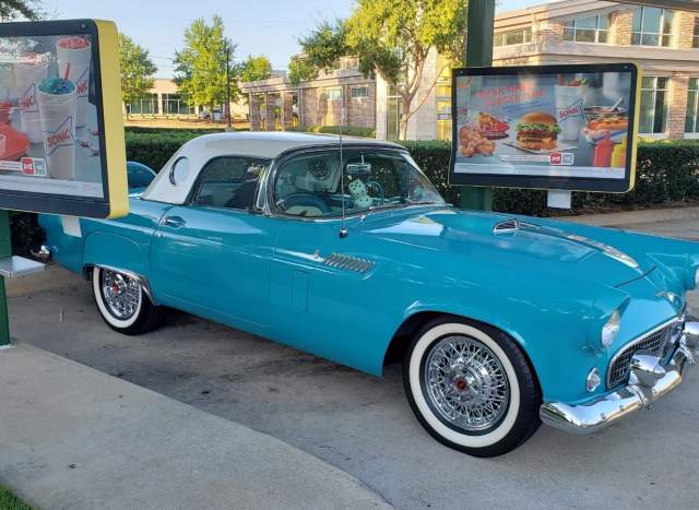 International Thunderbird Appreciation Day